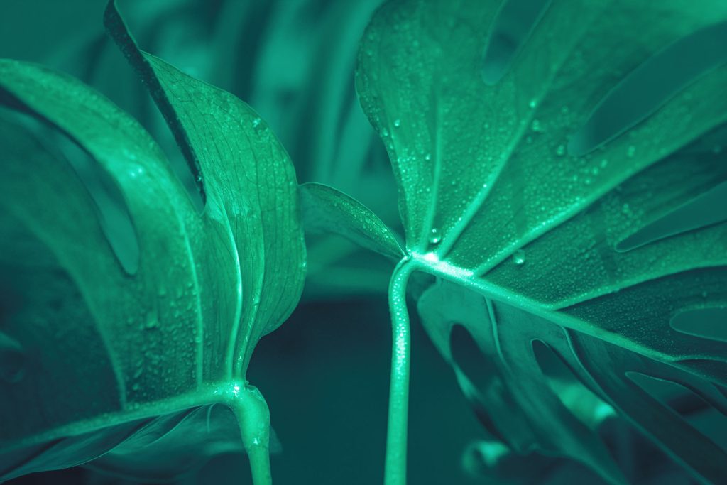 Bone & Muscle Health