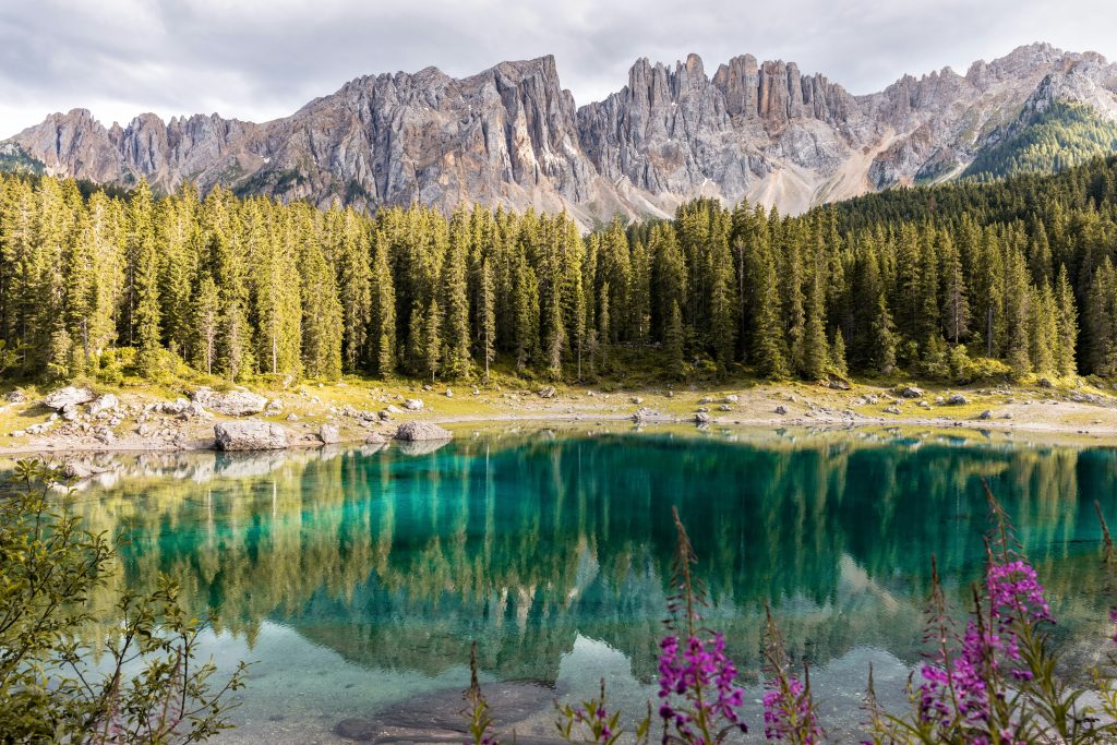 riccardo-chiarini-2VDa8bnLM8c-unsplash